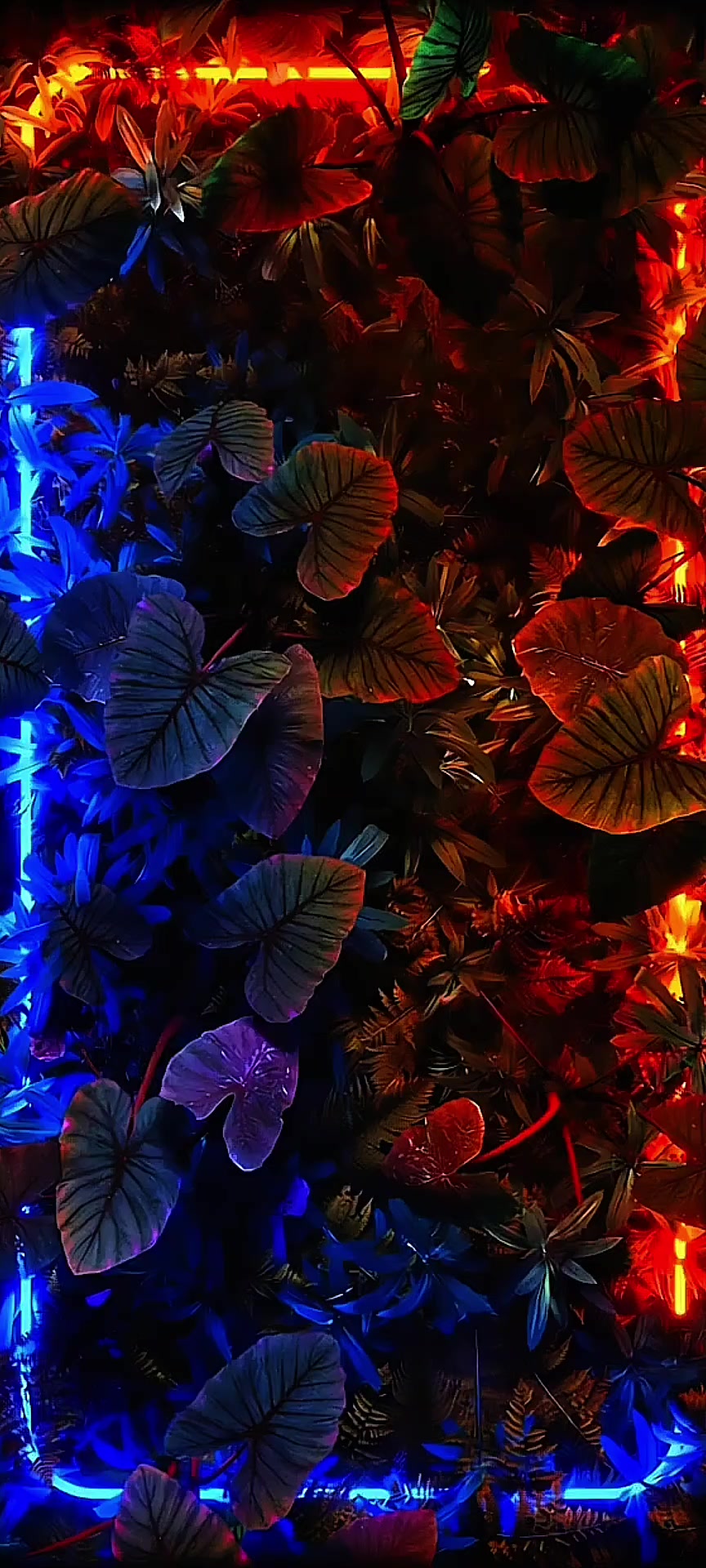 @Live wallpaper