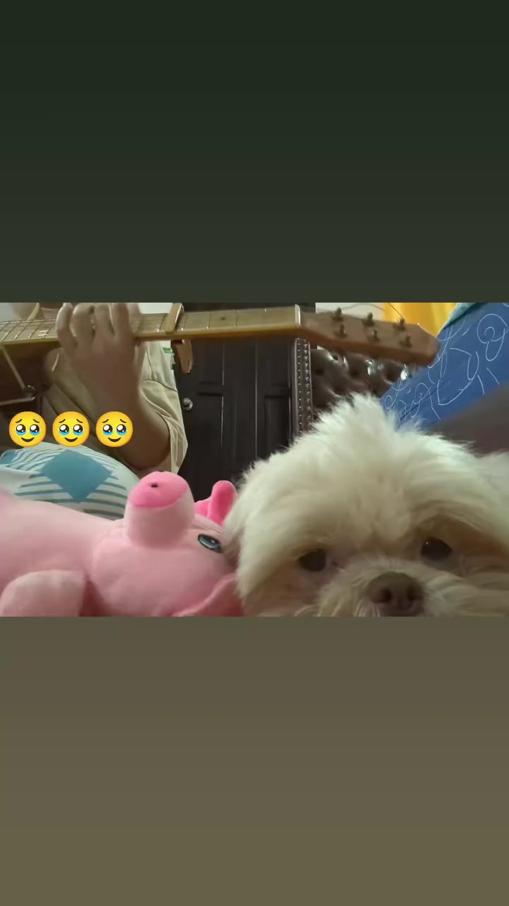 @sweetly.jeeneell