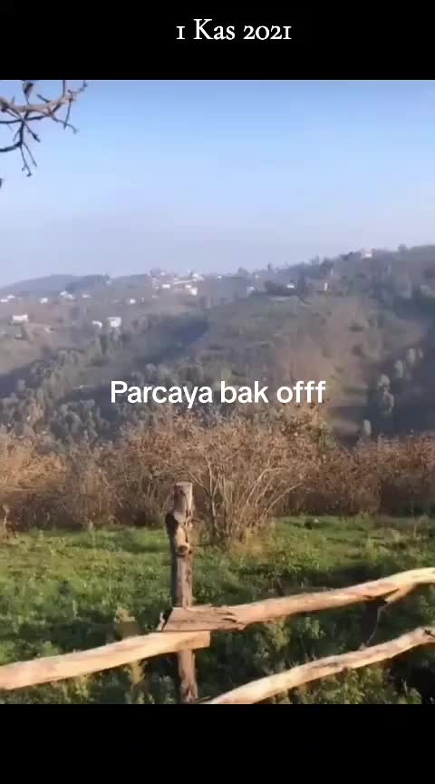 @serifeozn