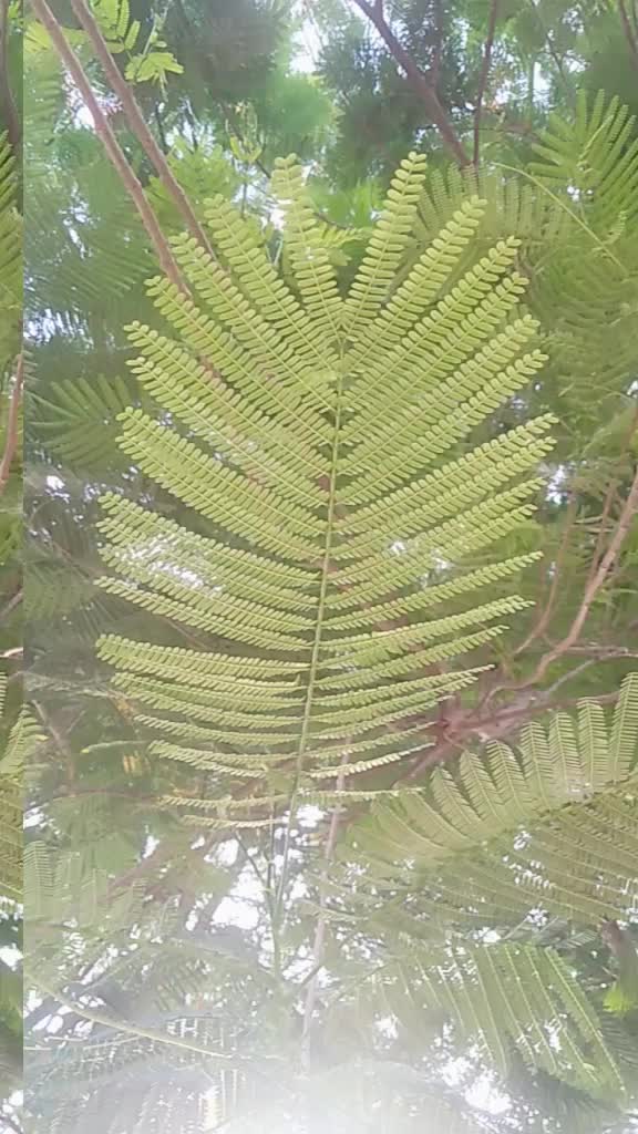 @user7231184434728