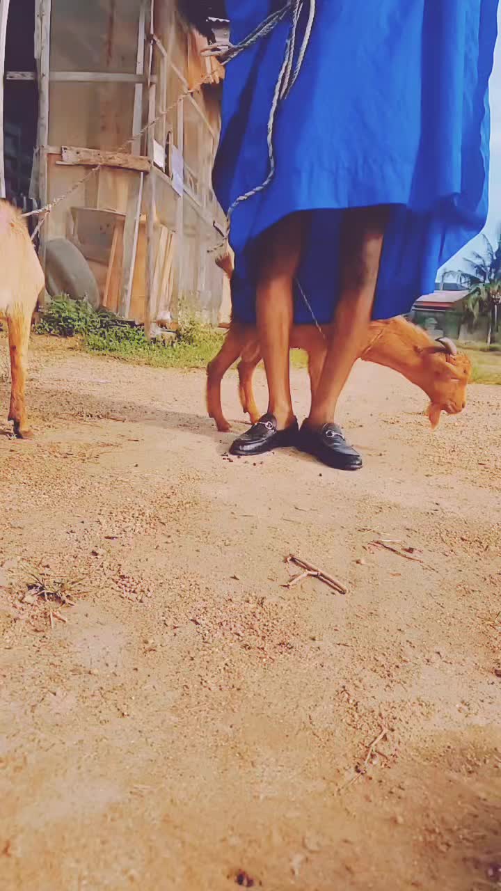 @play_boi247