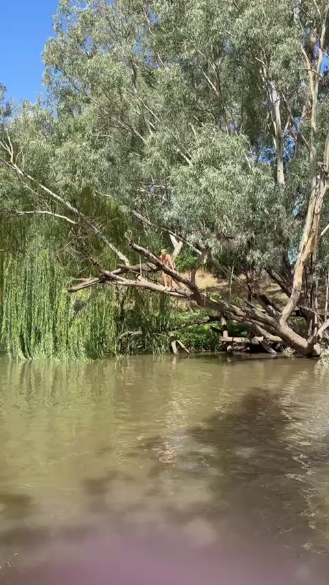 @official Cobar manus account