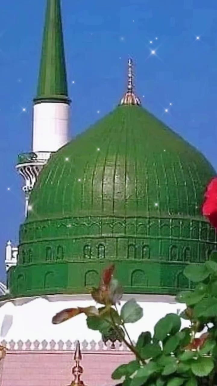@Muslim 🧕S👳M