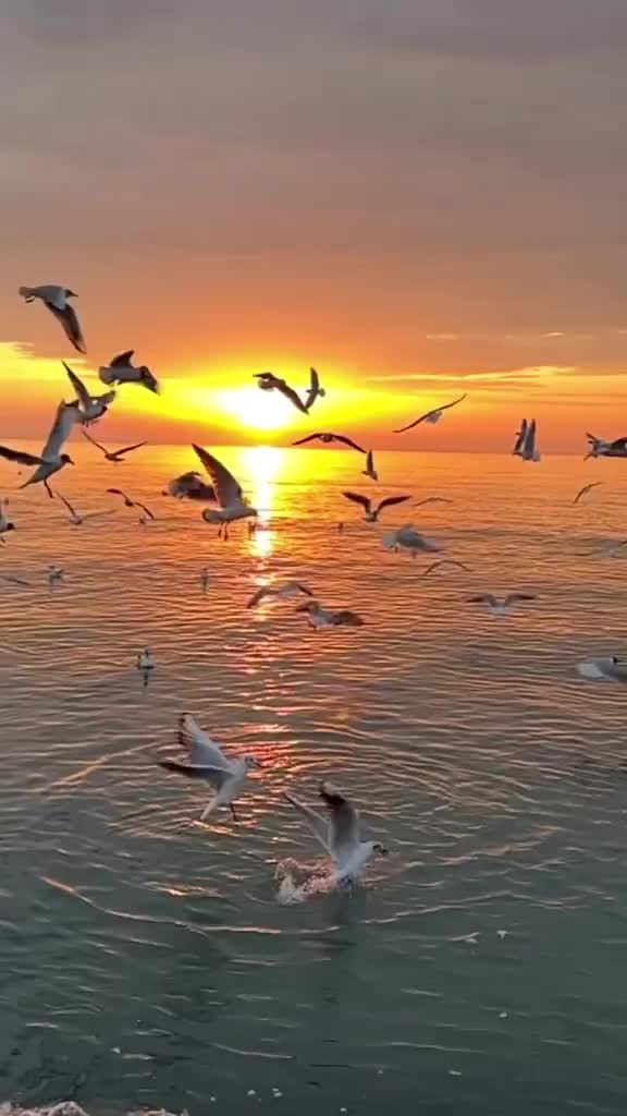 @İlayda 777