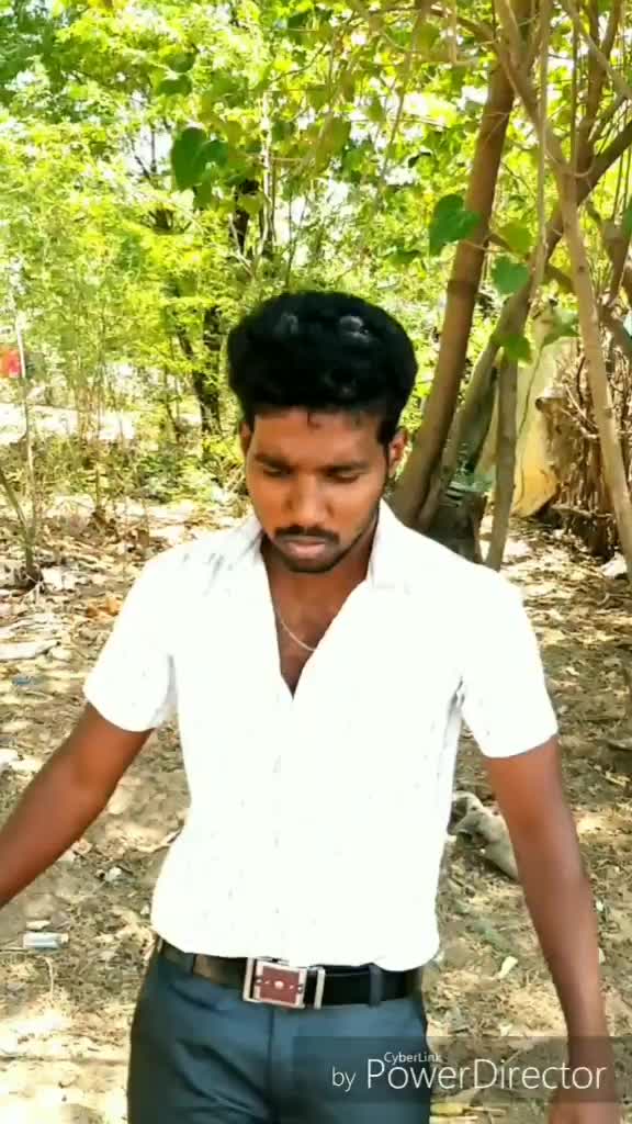 @massmagesh