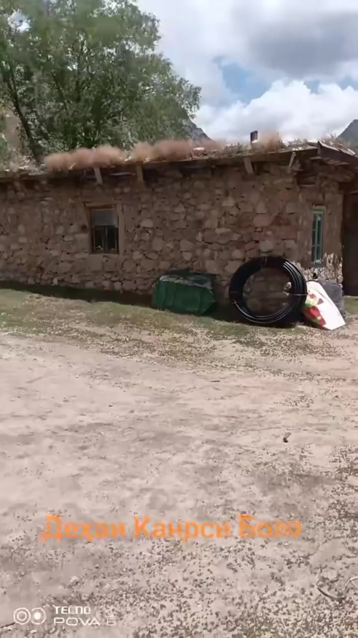 @фируз чон