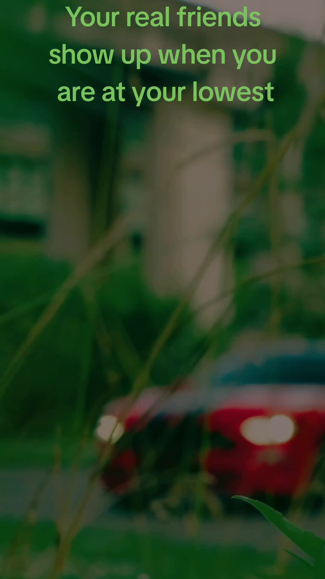 @NightShade5.0