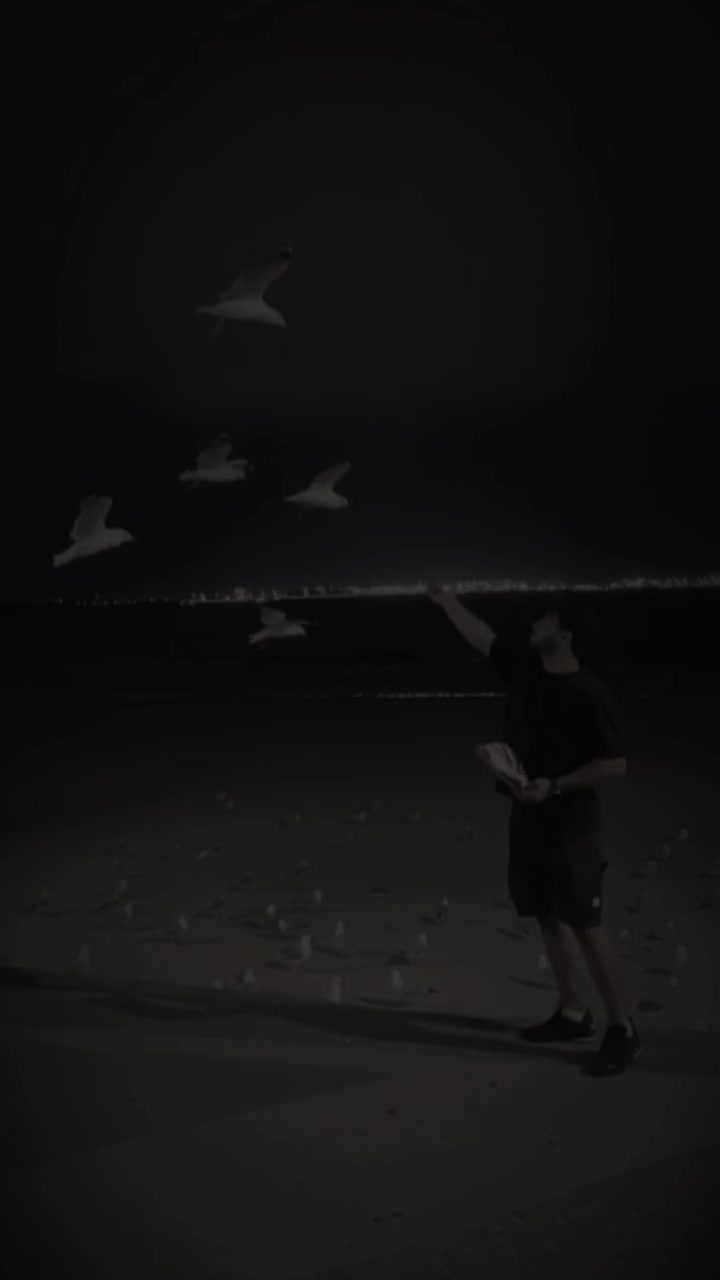 @رضا حيدر