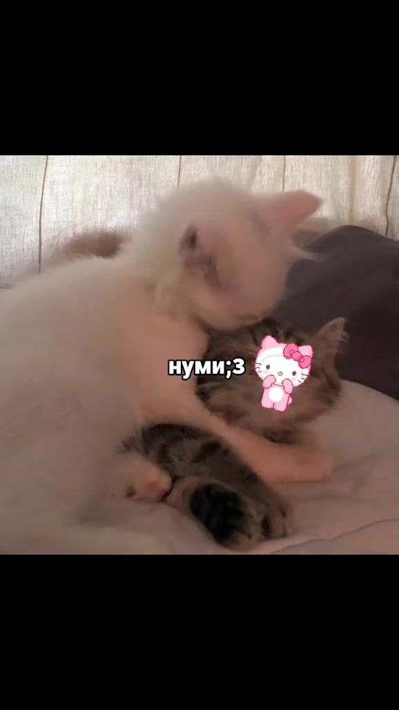 @кощик😛