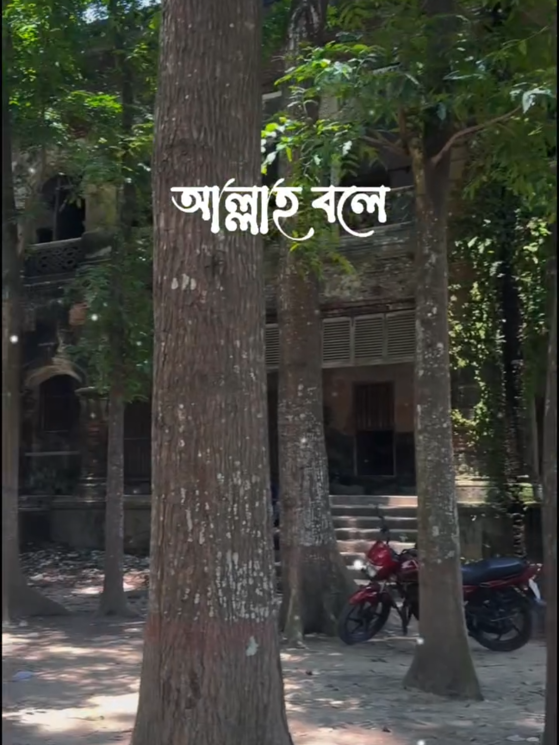 @স্বপ্নছিন্ন_পাখি
