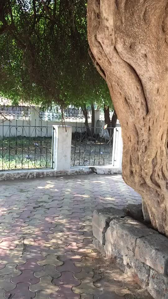 @varun_ahir_offlci