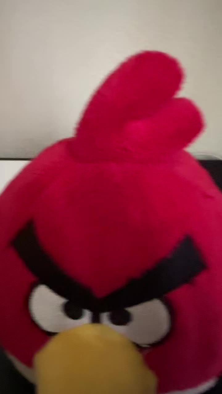 @Pig