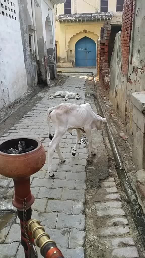 @user94998672206