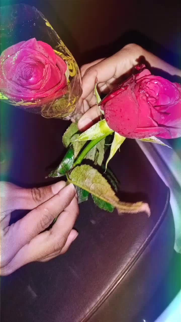 @aaftab.ly