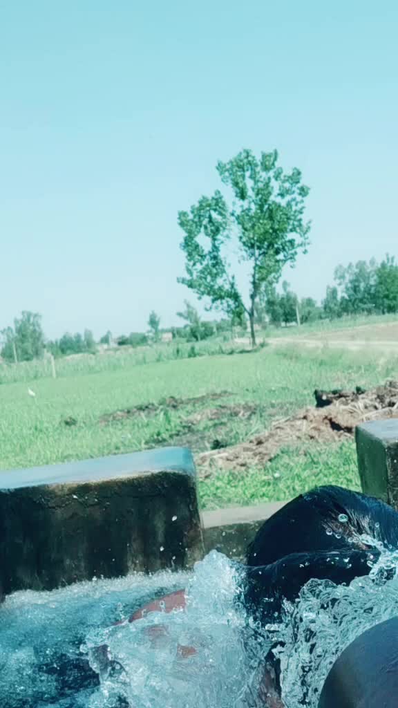 @Shiv Singh Gurjar