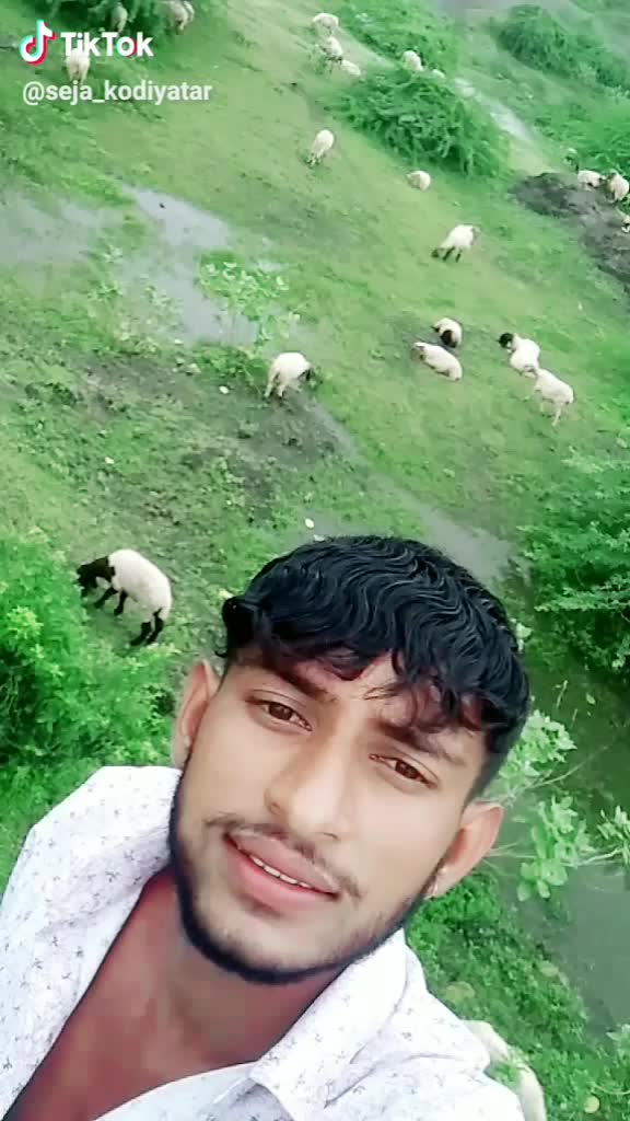 @seja_k_kodiyatar