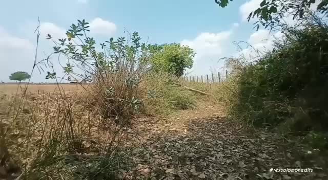 @Vk.Vijayakumar