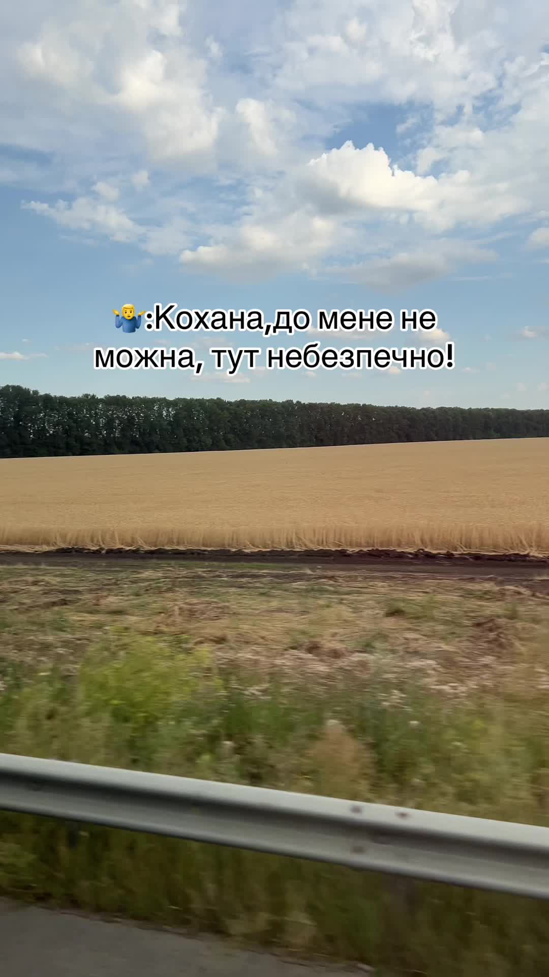 @Anasteisha 🕊