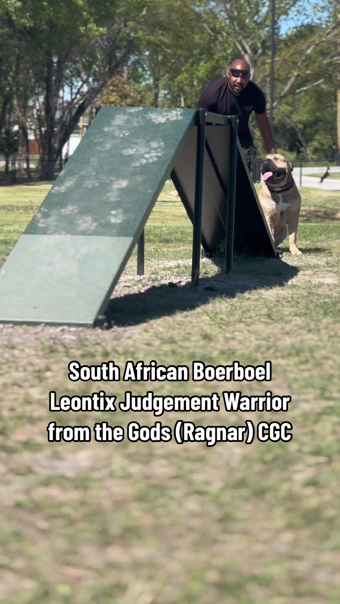 @CommCanine