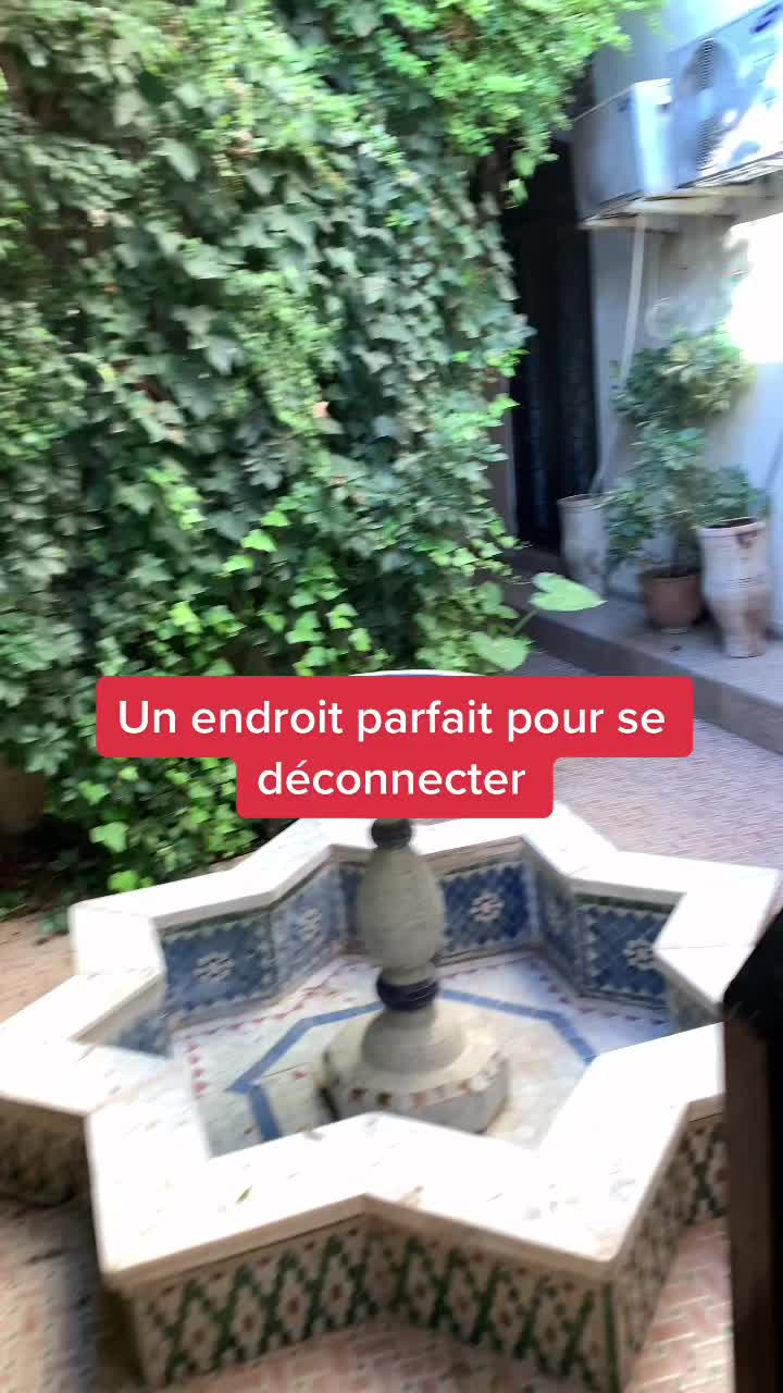 @Amine 🛫