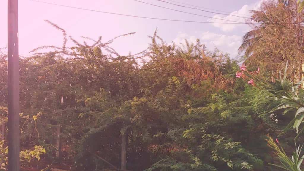 @smârt.N-î-T-h-î-Sh