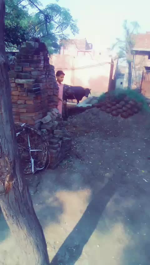 @user647293