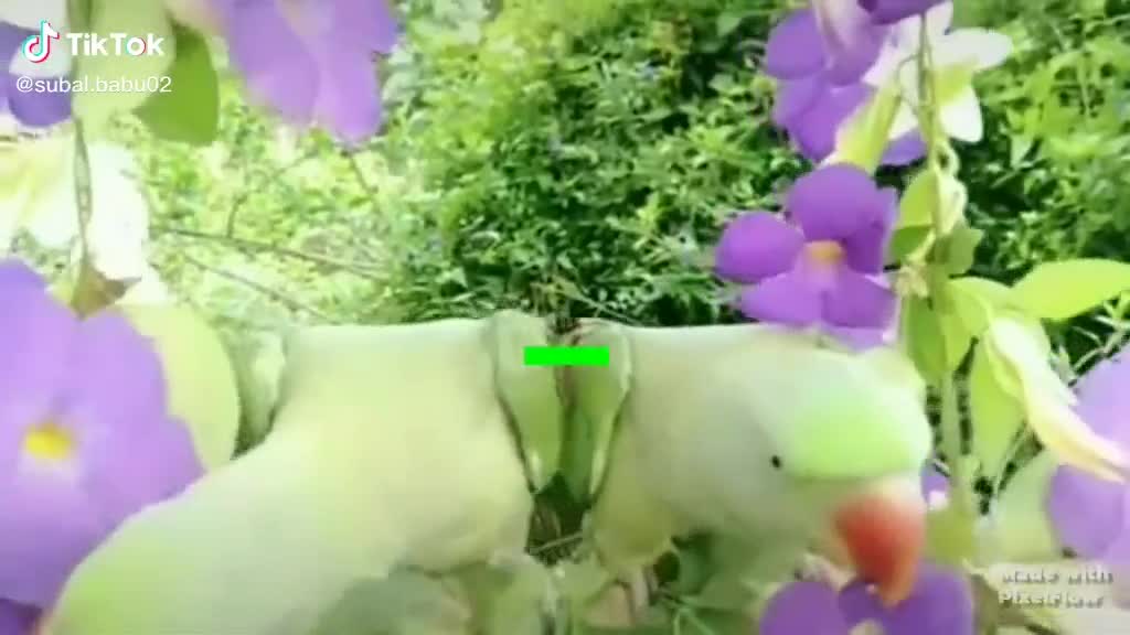 @Pruthirajck