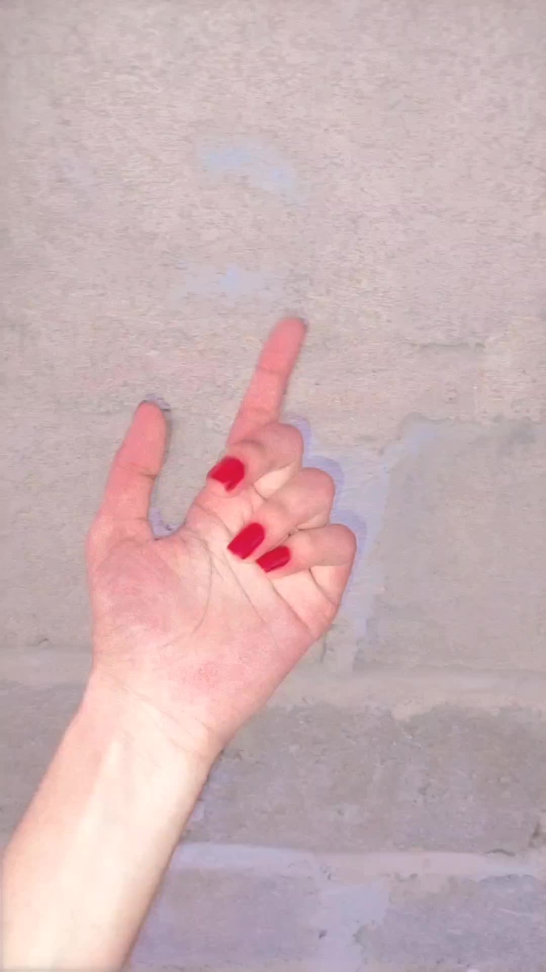 @Haya Fatima Haya Fatima