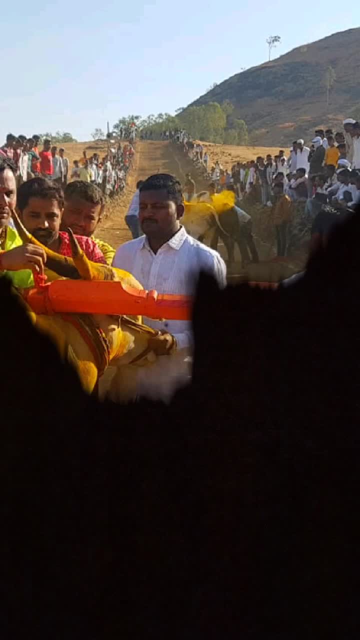 @👑 सोन्या पानसरे 👑