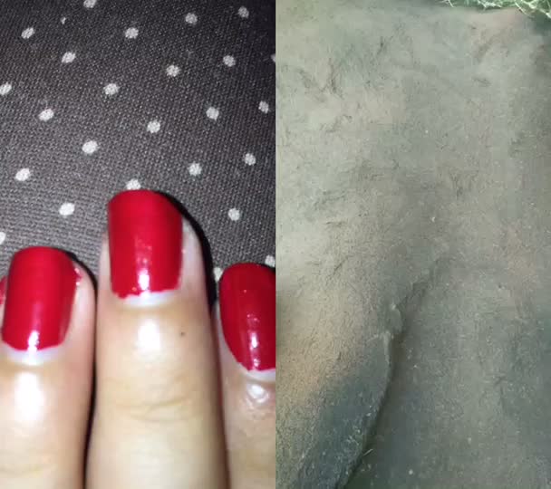 @chaithanya _vinesh