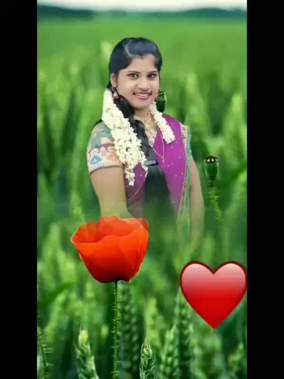 @sri Kutty
