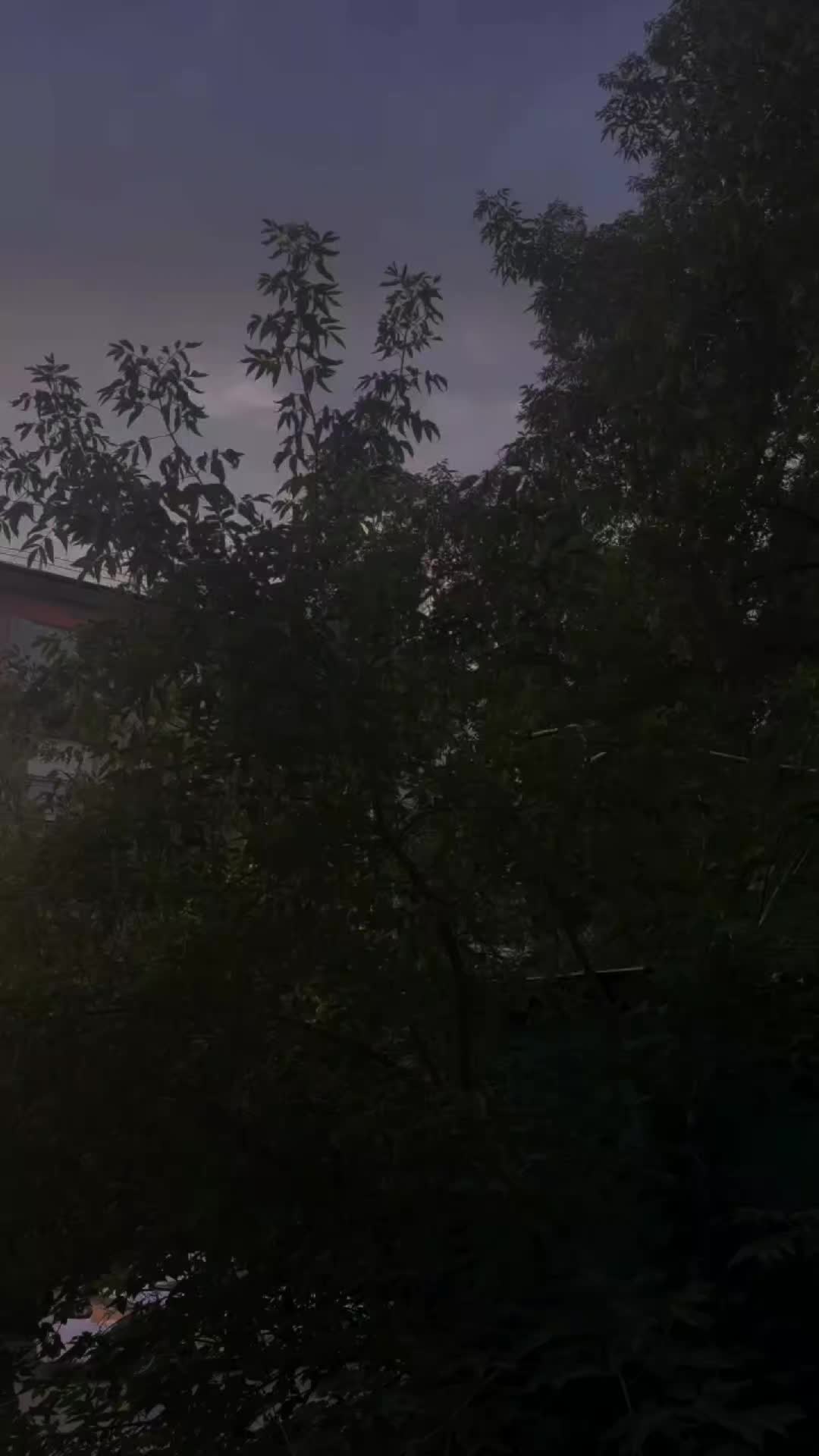 @тг: ночная улица 🚩