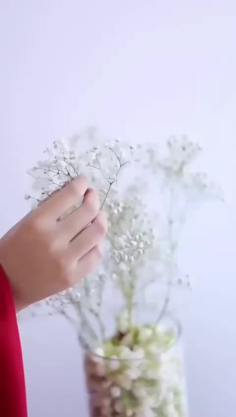 @Sehar Gohar