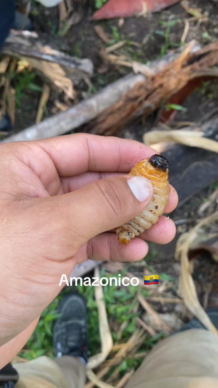@Lopez Alexander🇪🇨🇪🇨✈️🚲🦂