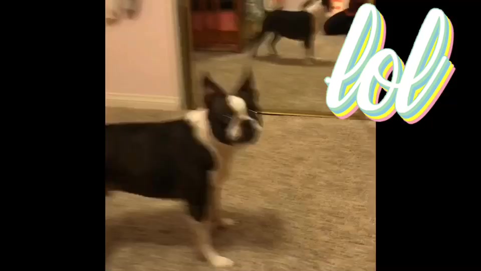 @discodogs13
