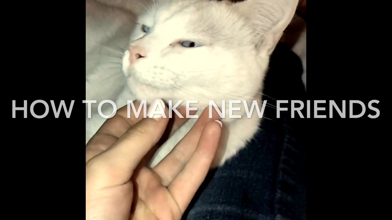 @𝔾𝕀ℝ𝕃 ℍ𝔼𝕃ℙ