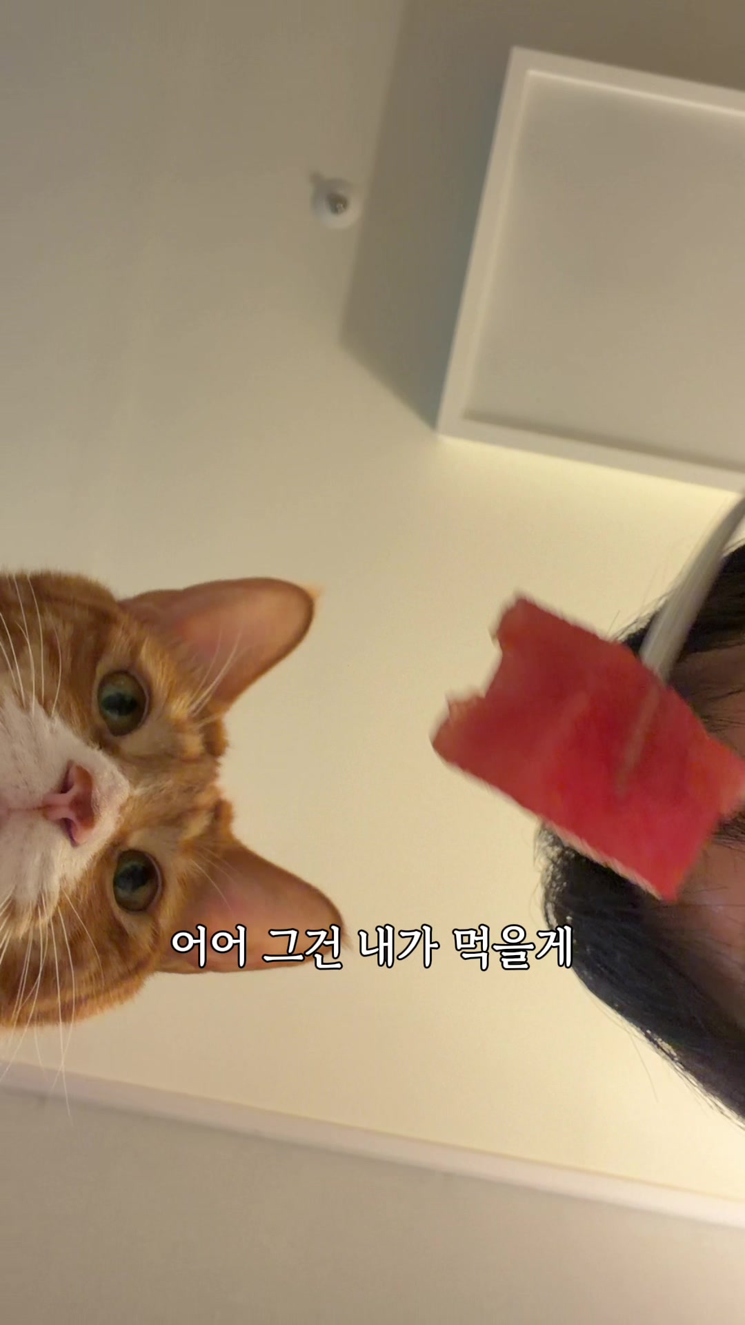 @뮤춘삼