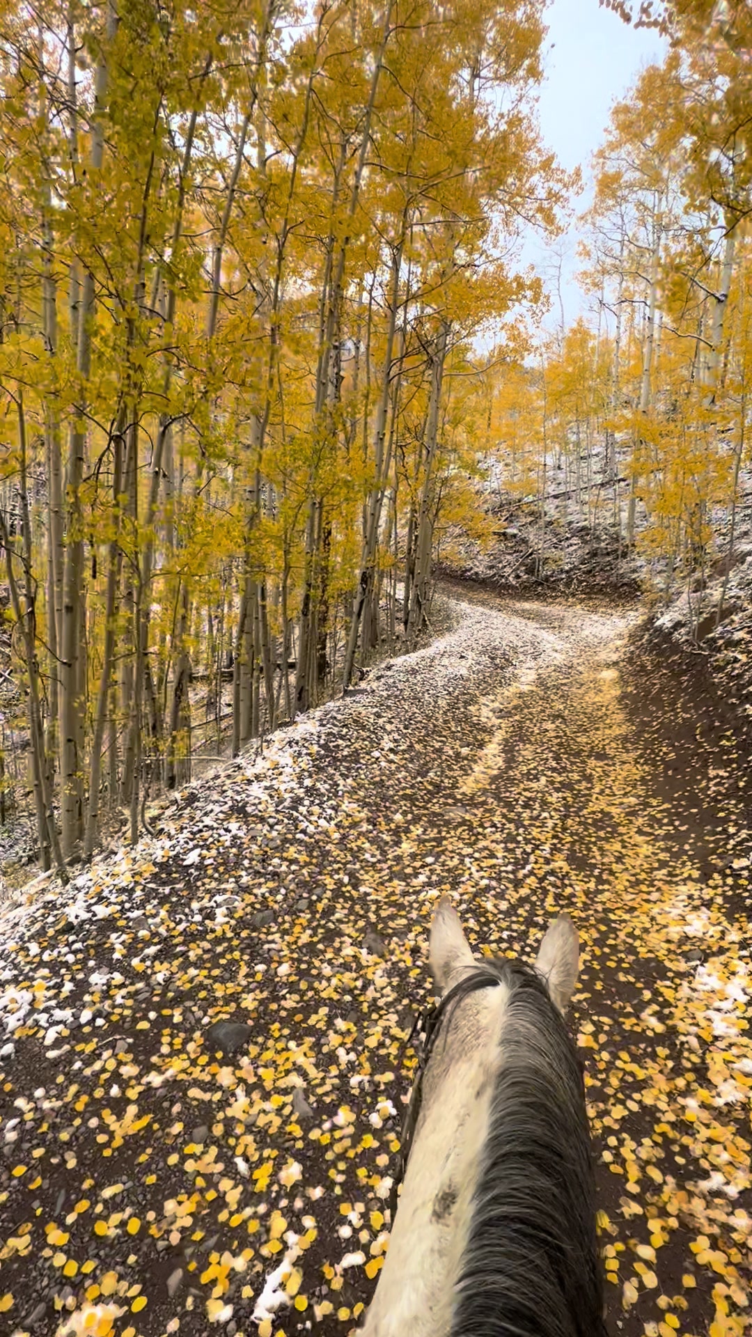 @ColoradoOutfitter