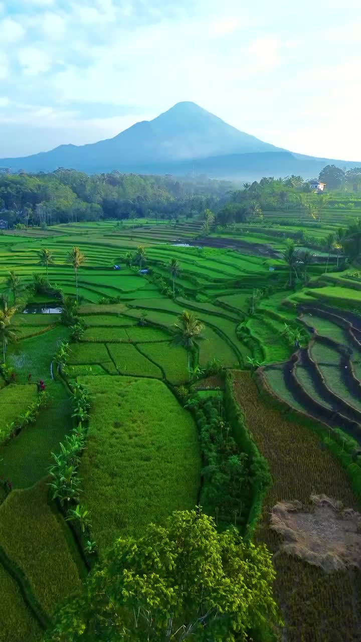 @Nasrullah