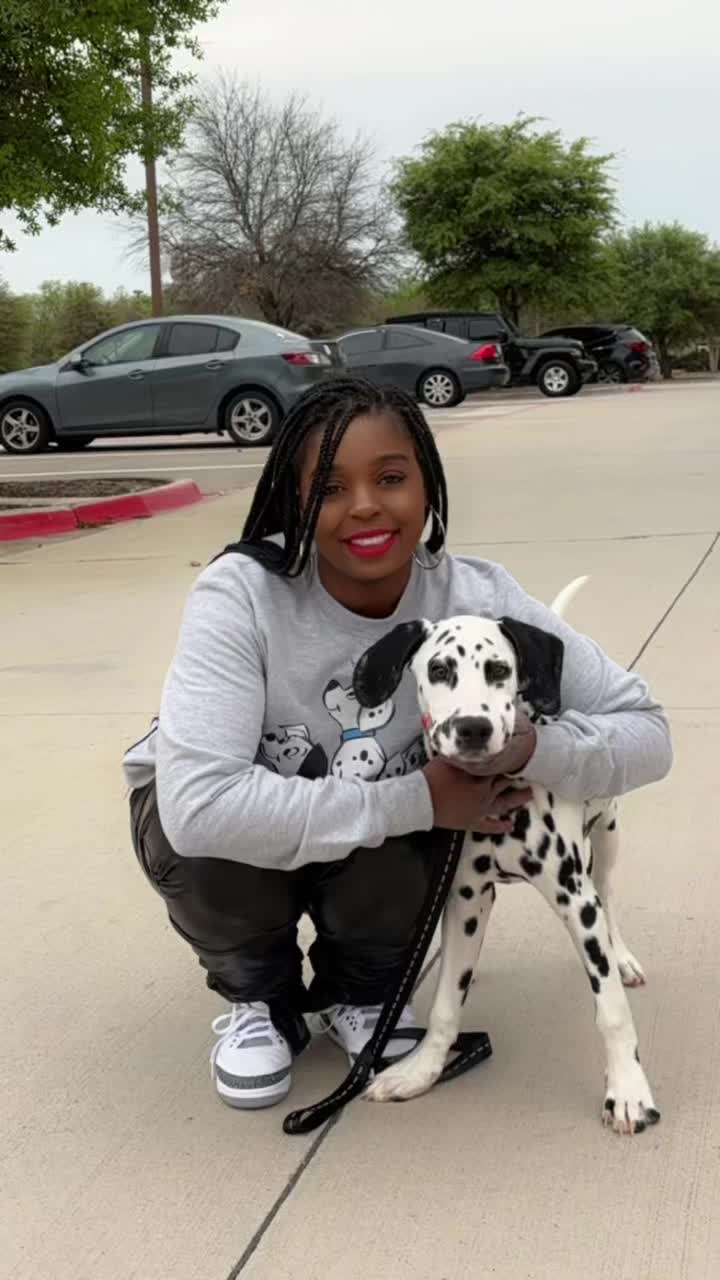 @DalmationMama
