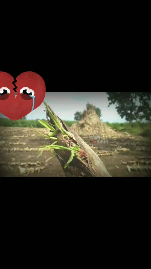 @shetkari mulga🌾🌾🌾