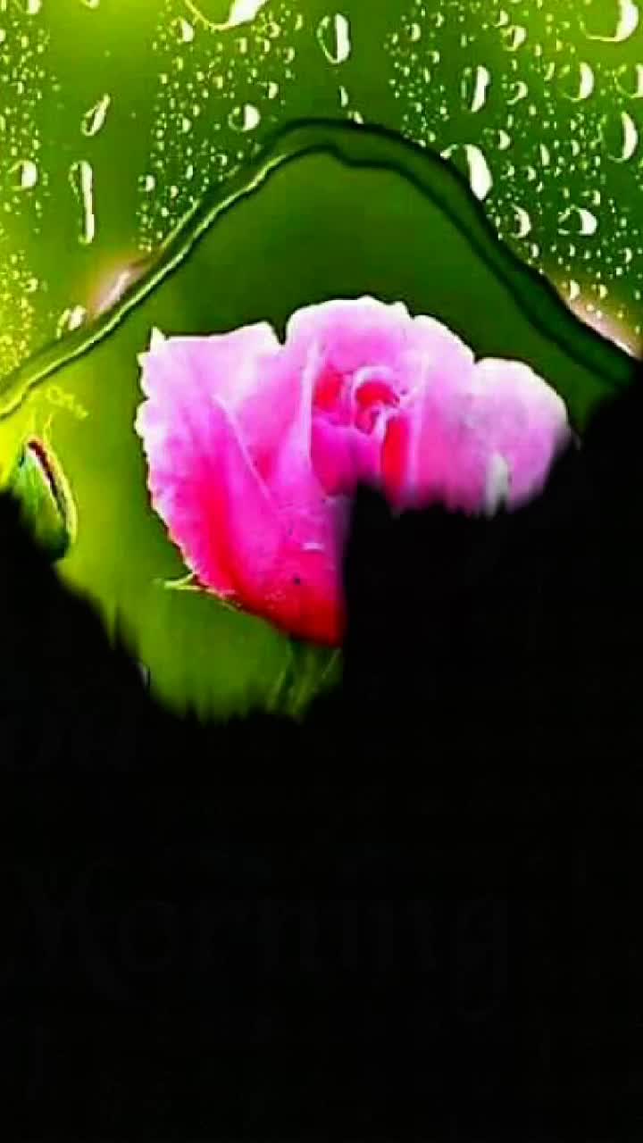 @Meghna kumari