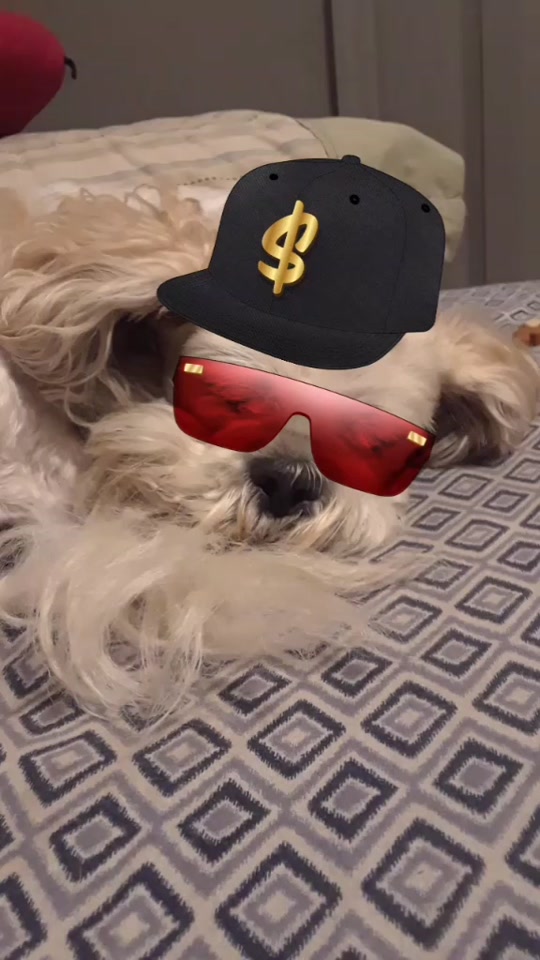 @DeehmonDogg