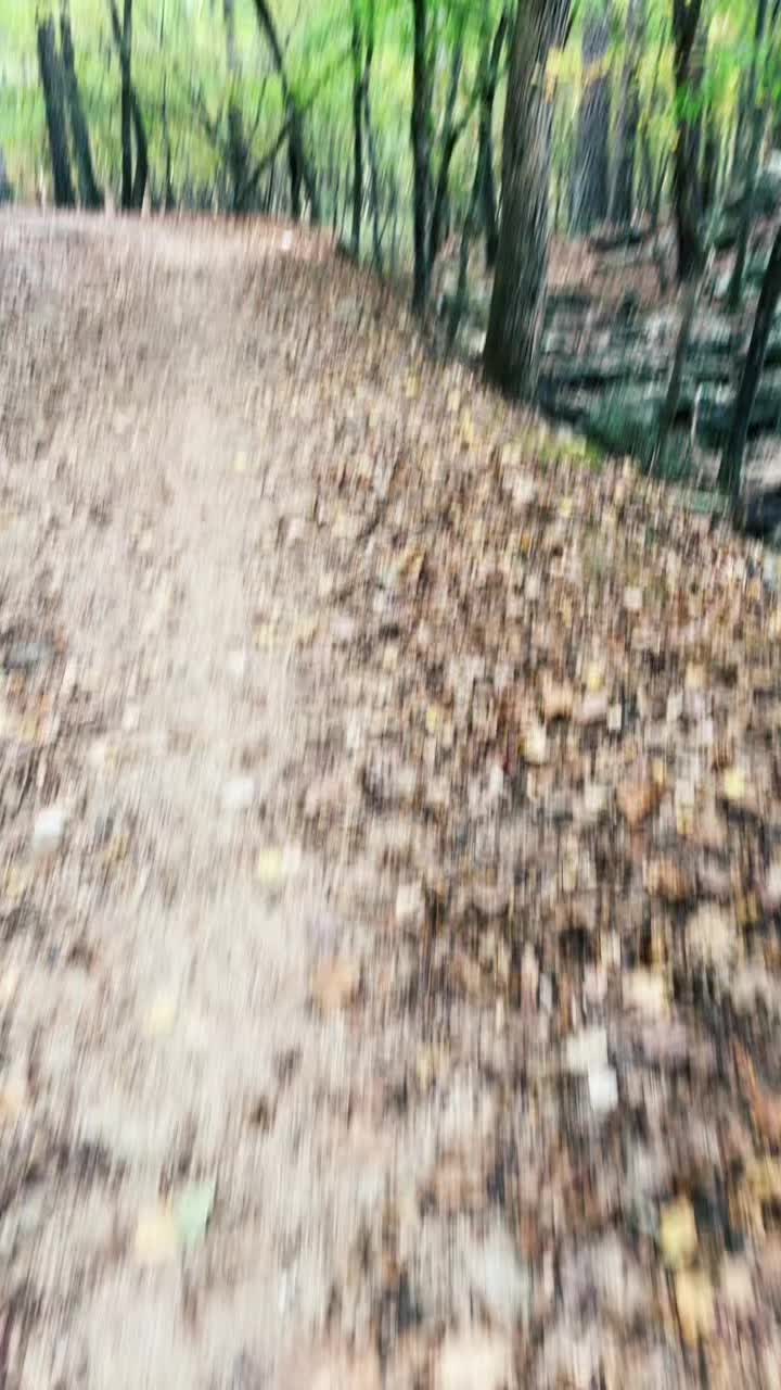 @CampinCarpeDiem