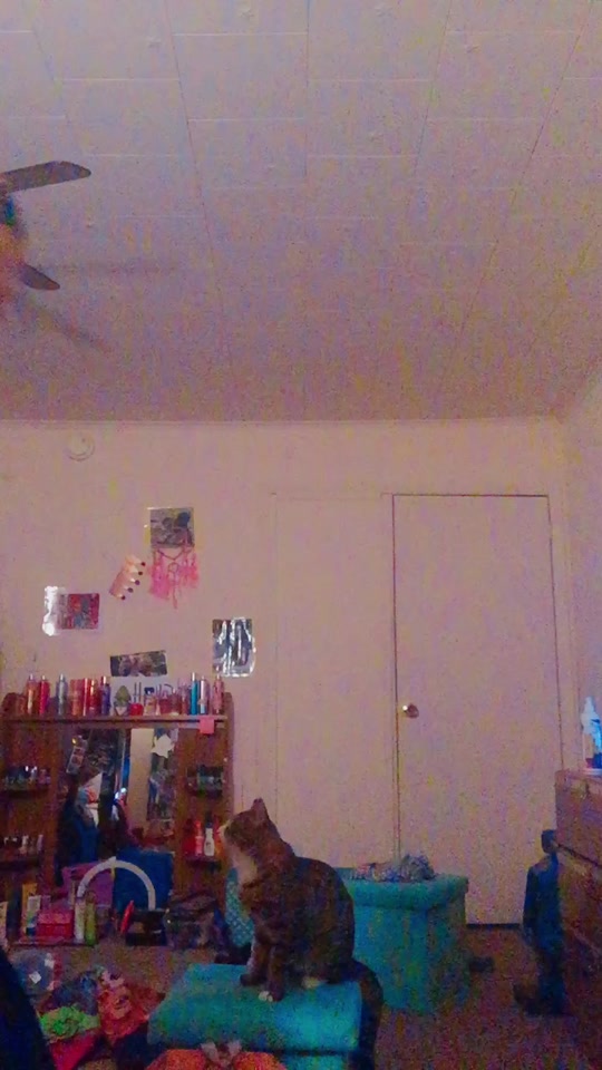 @emilyooferson