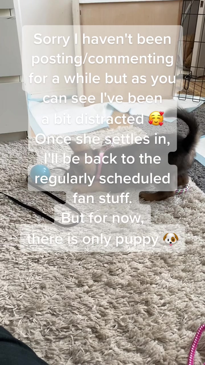 @alexdoesfandom