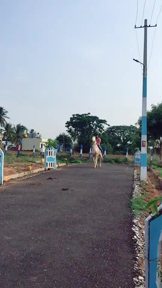 @Chandan Gowdru