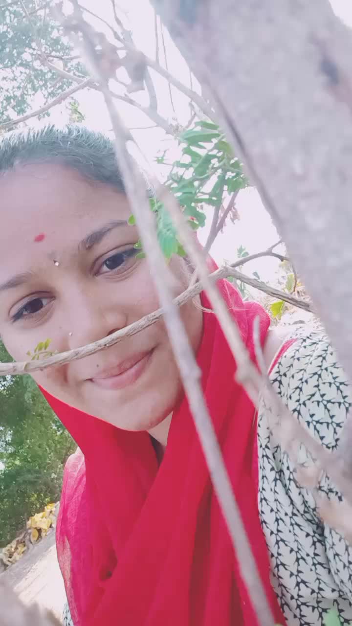 @divyans