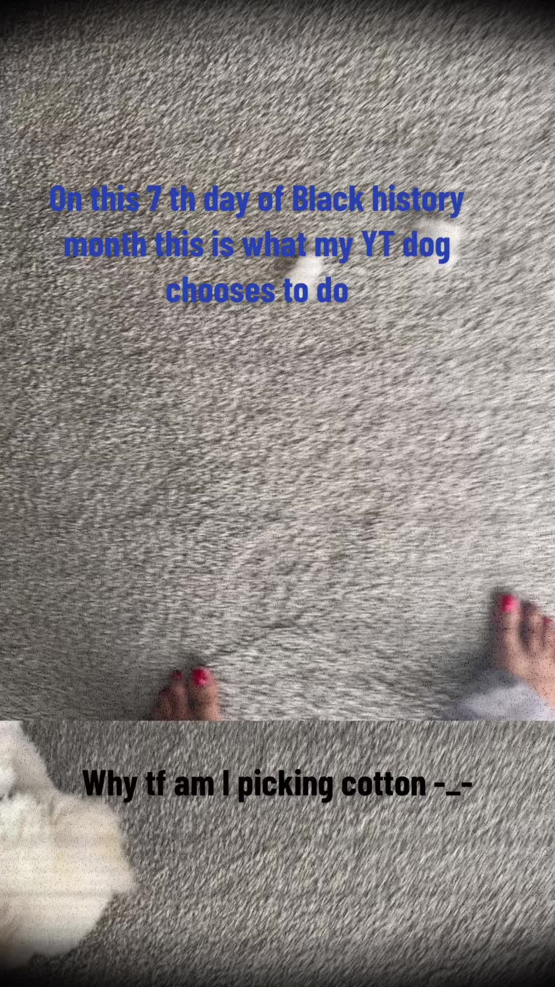 @Pink_vision