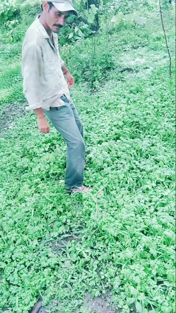 @Kishor Todakari